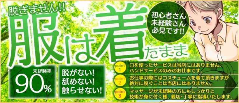 新宿 耳かき&回春エステ フェアリーの求人