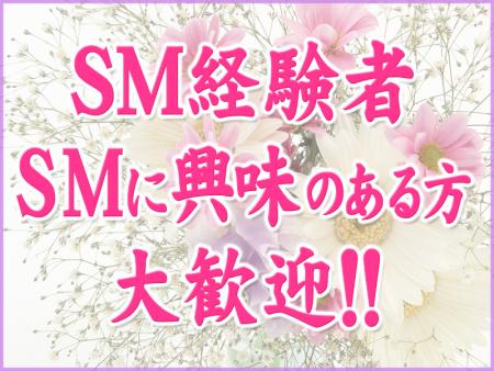 SMにちょっぴり興味のある素敵な大人の女性大募集!
