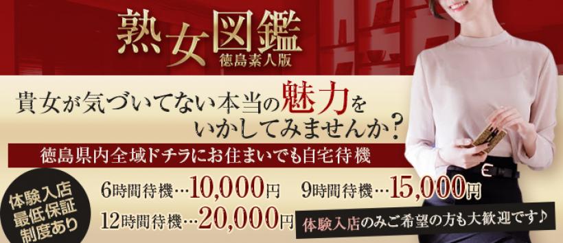 熟女図鑑 徳島素人版