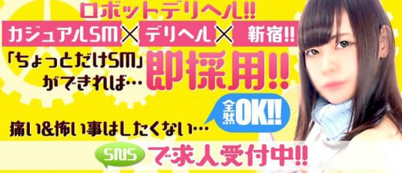 ロボットデリヘルの求人