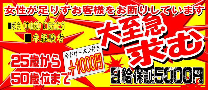 女遊屋の求人