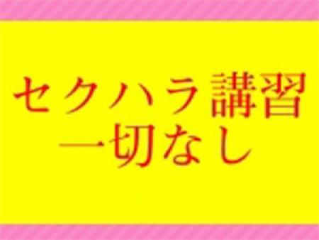セクハラ講習なし!