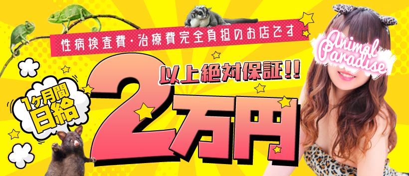 アニマルパラダイスの求人