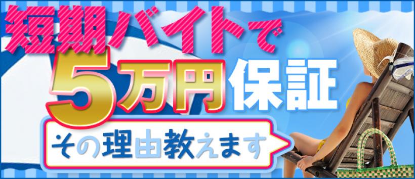 コーチと私とビート板…の求人
