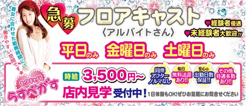 らすべがすの求人