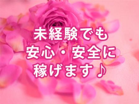 未経験から始めた方も多数在籍中!