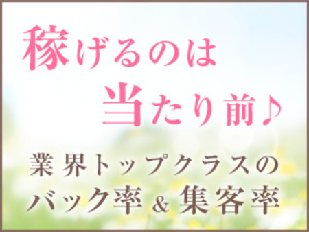 安定した高収入をお約束!!