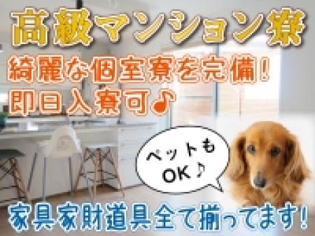 楽しく稼ぎたい女性大募集!未経験者の方も大歓迎です!