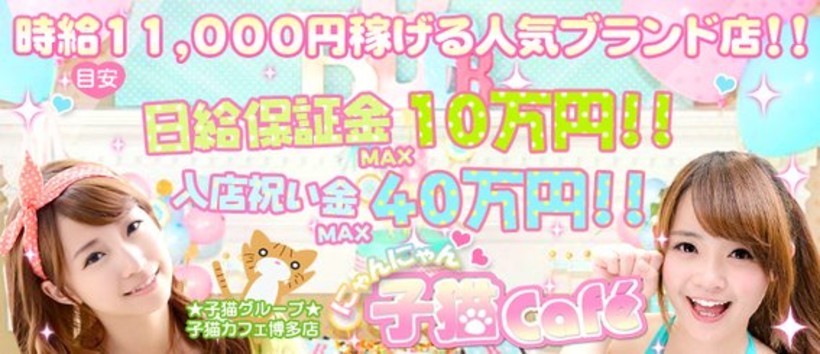 子猫カフェ博多店の求人
