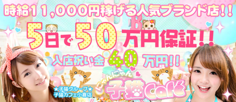 子猫カフェの求人