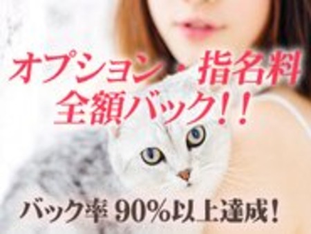 オプション、指名料全額バック!!