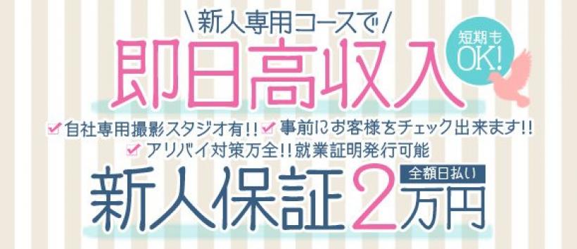 愛妻コレクションの求人