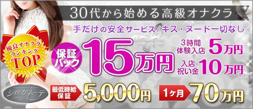 シロガネーテの求人