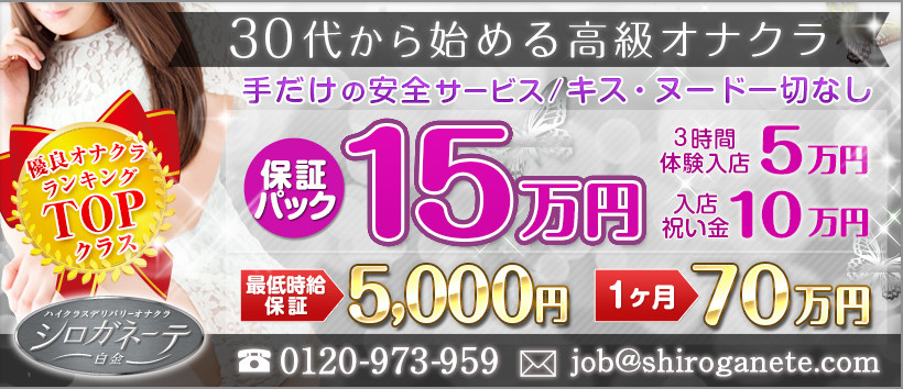 シロガネーテの求人