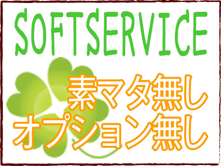 ソフトサービス店!