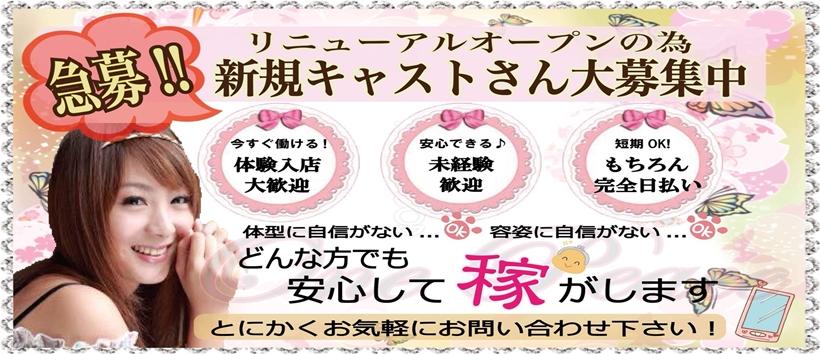 岡山倉敷 わんぴーすの求人
