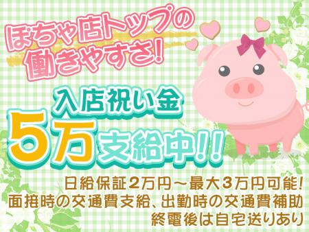 ぽちゃ風俗界でもダントツの人気店だから稼げます!