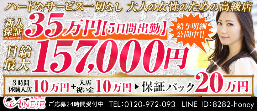 五反田アネージュの求人