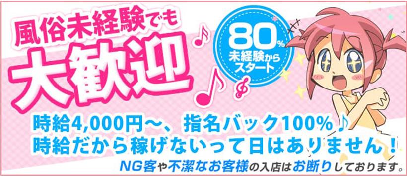 セーシェルの求人