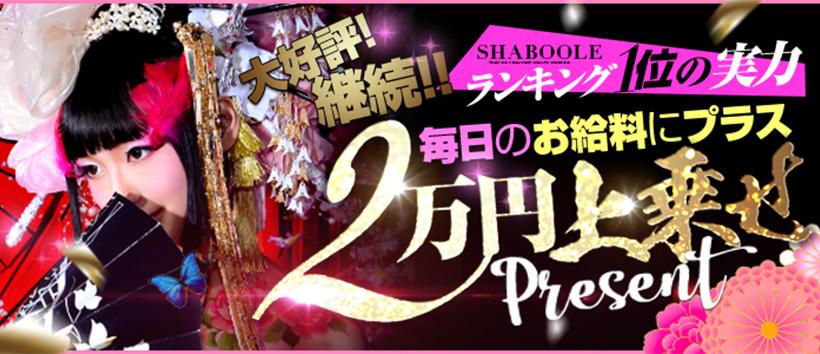 shabooleの求人