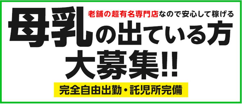 妊婦・母乳専門店 ミルクランド