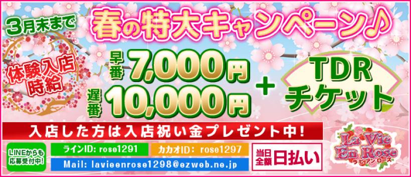 ラビアンローズの求人