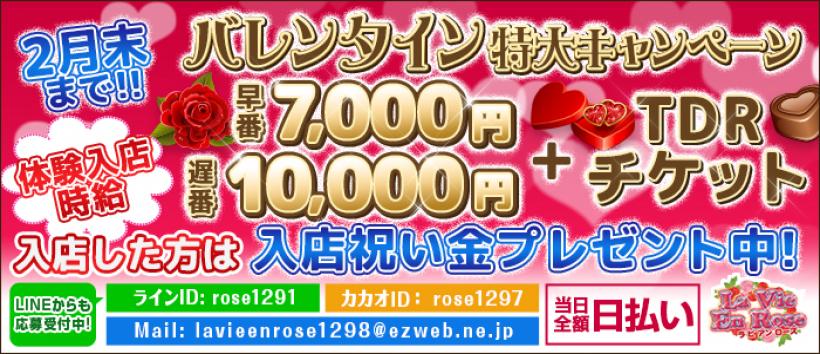 ラビアンローズの求人