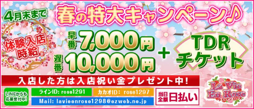 ラビアンローズの求人