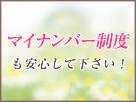 マイナンバー制度について♪