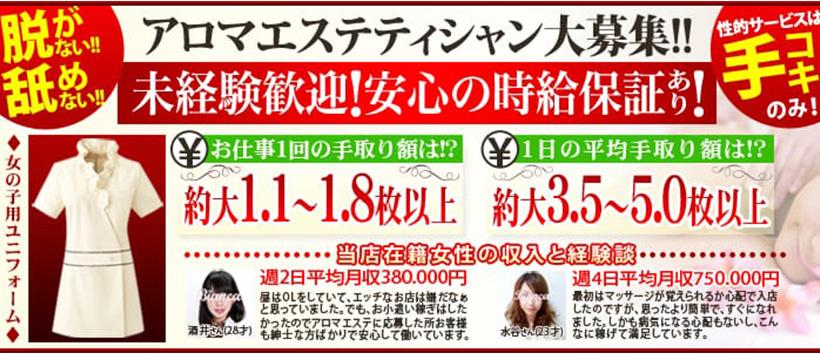ビアンカの求人