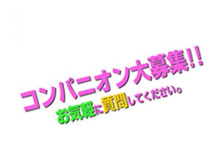 未経験でも始めやすい