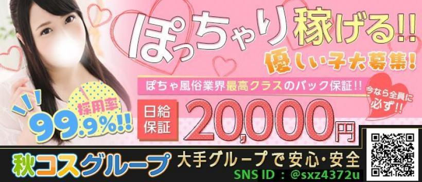 白いぽっちゃりさんの求人