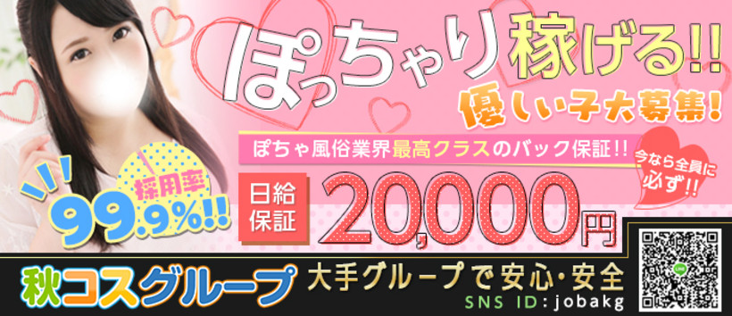 白いぽっちゃりさんの求人