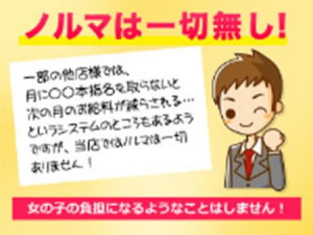 ノルマなし!