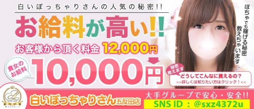 白いぽっちゃりさん五反田店の求人