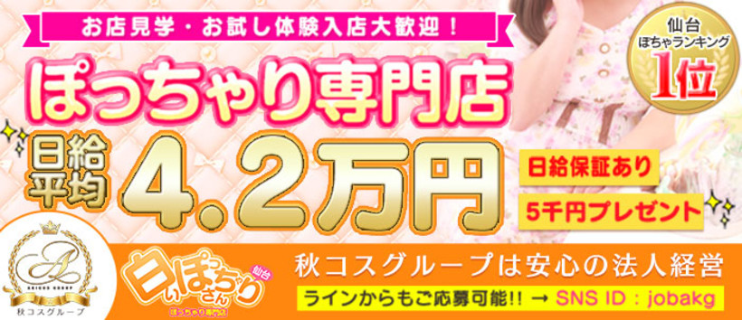 白いぽっちゃりさん仙台店の求人