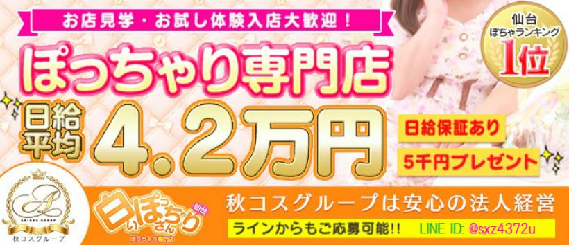 白いぽっちゃりさん仙台店の求人