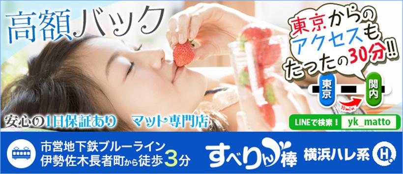 すべりん棒の求人