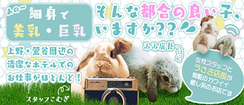 おっぱいクエスト上野鶯谷店の求人