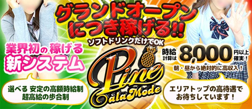 パインアラモードの求人