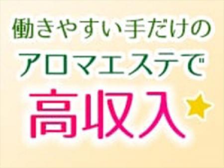 1日50,000円以上稼いで頂けます!