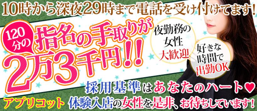 アプリコットの求人