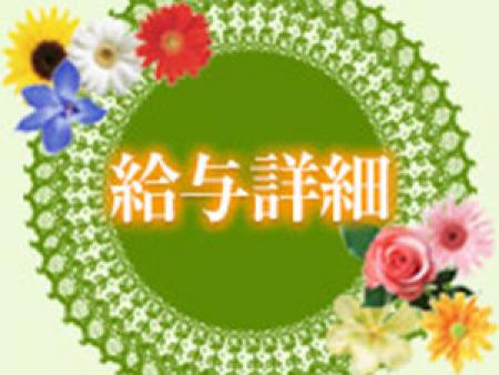 給与詳細