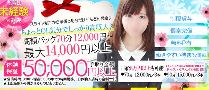 淫乱OL派遣商社 斉藤商事の求人