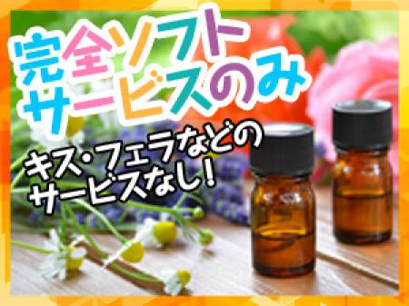 完全ソフトサービスのみ!キス・フェラなどのサービスなし!