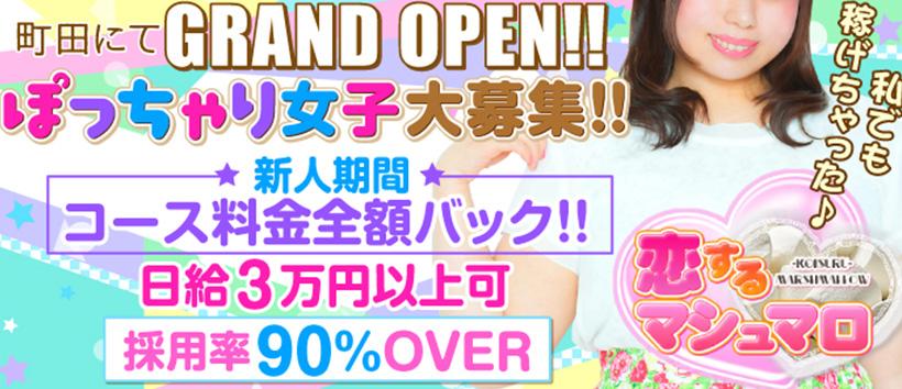 恋するマシュマロの求人