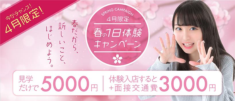 そいねんねの求人