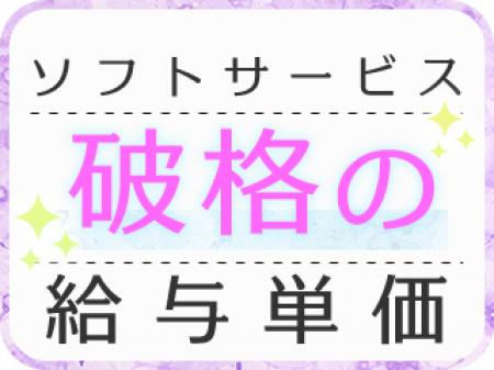 女性の受身がない内容で一番高い給与単価★