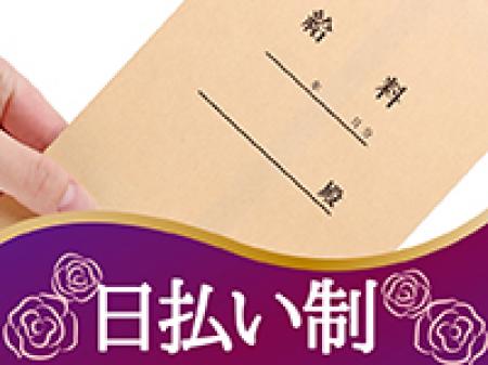 完全日払い制