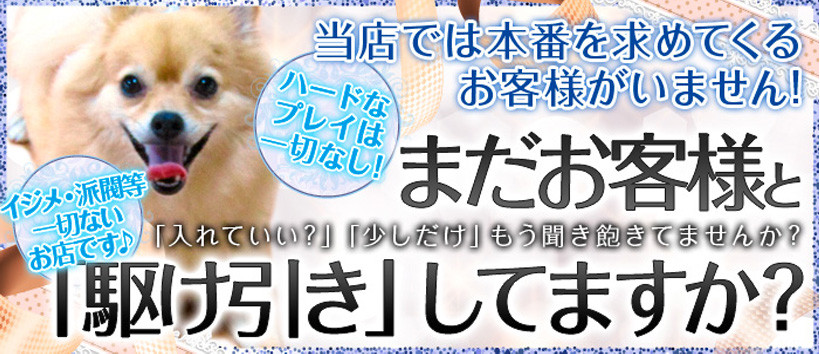 クラブシャングリラの求人